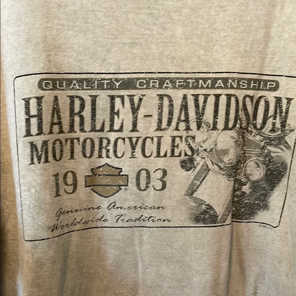 Harley-Davidson Gray Short Sleeve Tee Casual - Picture 2 of 6